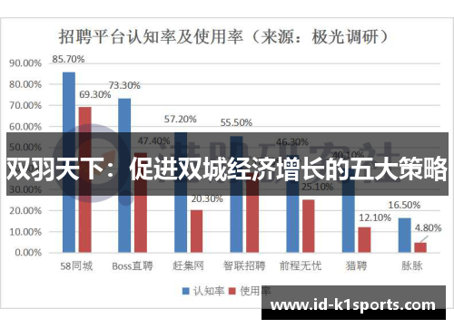双羽天下：促进双城经济增长的五大策略