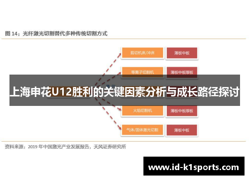 上海申花U12胜利的关键因素分析与成长路径探讨