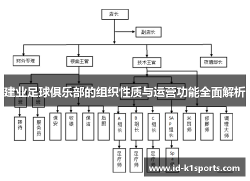 建业足球俱乐部的组织性质与运营功能全面解析