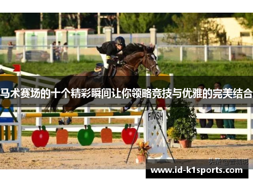 马术赛场的十个精彩瞬间让你领略竞技与优雅的完美结合 马术赛场的十个精彩瞬间让你领略竞技与优雅的完美结合